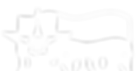 denton_white.png