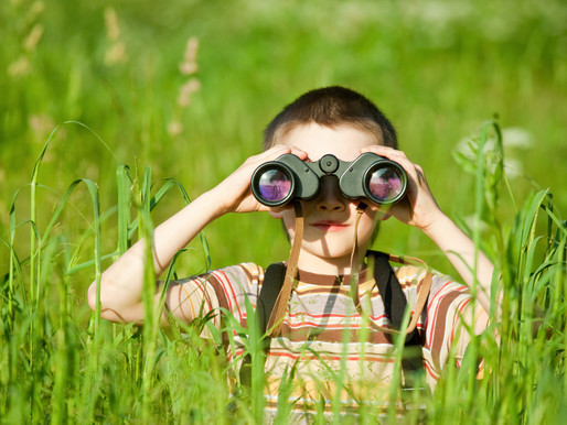 Children & Nature