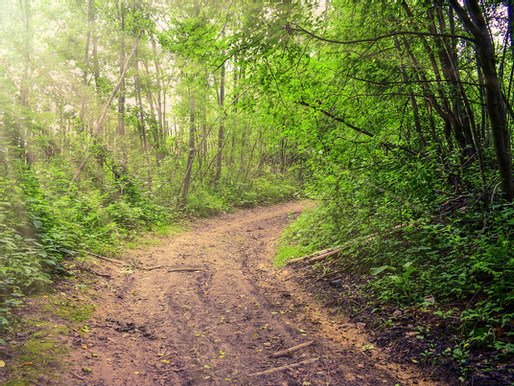 Make Trail Plans Today!