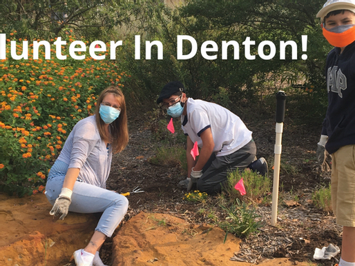 Spring Into Volunteering